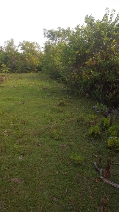 Land for Sale in Goviyapana