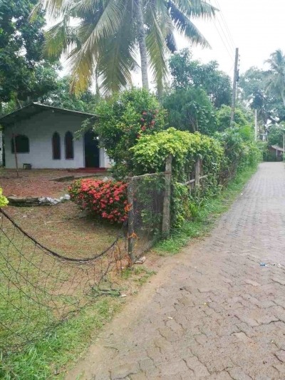 House with Land for Sale in Dikwella
