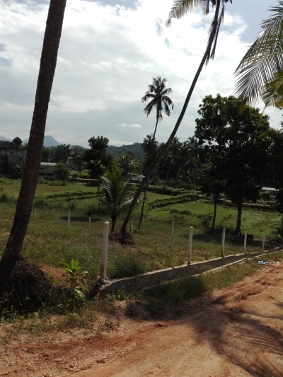 Land for Sale in Mawanella
