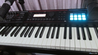 Roland Piano Keyboard Juno DS 88