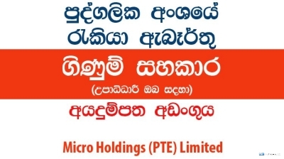 Accounts Assistant â€“ Micro Holdings (PTE) Limited