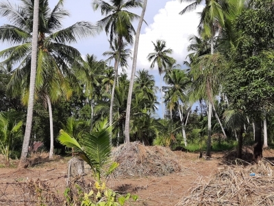 Land for Sale in Kuliyapitiya