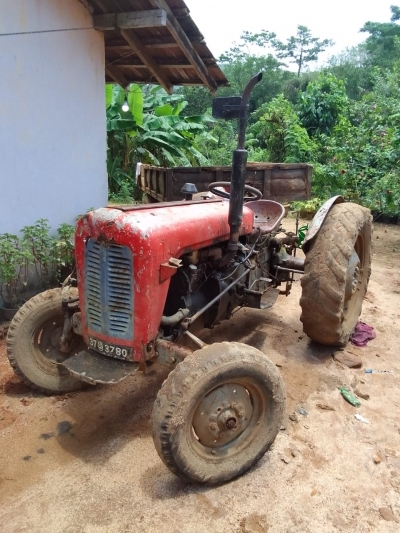 Massey Ferguson IMT Tractor 1983