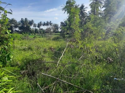 Land for Sale in Tissamaharama