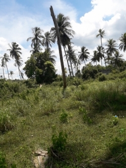 Land for Sale in Narammala