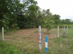 Land for Sale - Anuradhapura