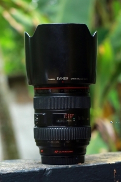 Canon EF Lense 24 -70 F 2.8