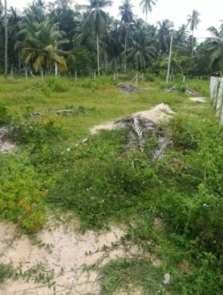 Land for Sale in Kuliyapitiya