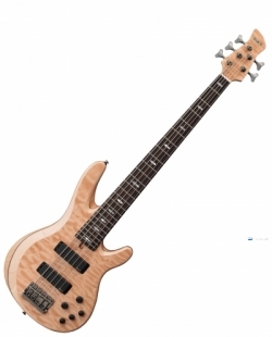 Yamaha TRB1005J  Bass Guitar Price in Srilanka 