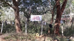 Land for Sale in Kataragama