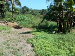 Land for Sale in Ahangama