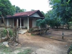 House with Land for Sale in Thanamalvila
