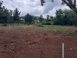 Land for Sale in Naula