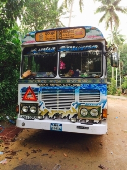 Ashok Leyland Viking Bus 2011