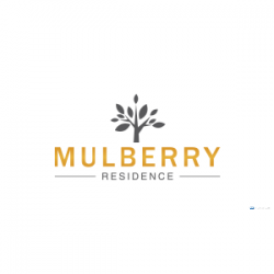 Mulberry Residence Luxery Apartment For Sale in Colombo 9