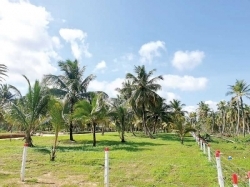 Land for Sale in Wariyapola