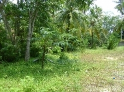 Land for Sale in Mihinthale