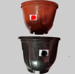 Flower Pot