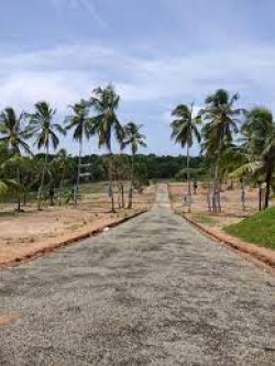 Land for Sale in Weeraketiya