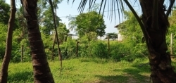 House with Land for Sale in Tissamaharama