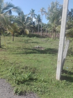 Land forSale in Tangalle