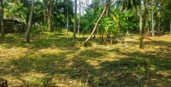 Commercial Land for Sale in Anuradhapura