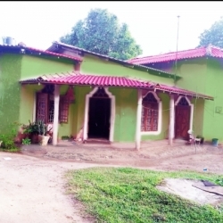 House with 4 Acres Land For Sale in Galenbindunuwewa