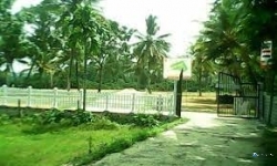 House with Land for Sale in Anuradhapura
