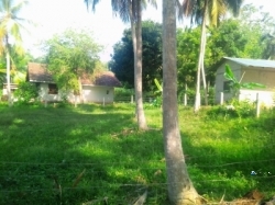 Land for Sale in Rathmale(Dickwella)