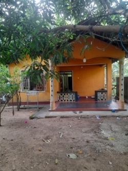 House for Sale in Narammla