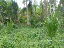 Commercial Land for Sale at Galle