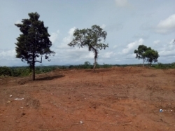 Land for Sale in Homagama(Diyagama)