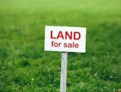Land for Sale in Galle(Hapugala)